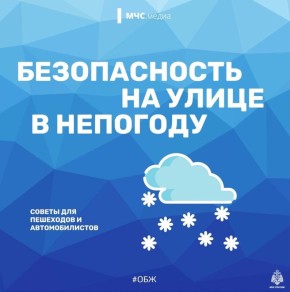 Советы пешеходам и автомобилистам