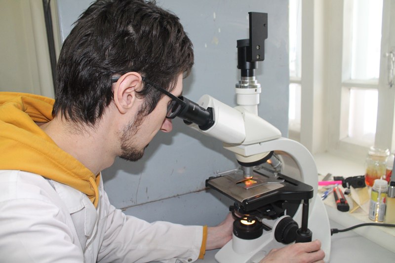 Вместо говядины и свинины: что Россельхознадзор нашел в популярной колбасе