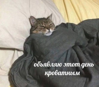 Воскресное доброе. Потягиваемся, укрываемся одеялком и на другой бок