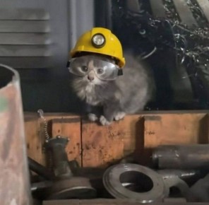 Довольны ли жители Улан-Удэ выбором своей профессии