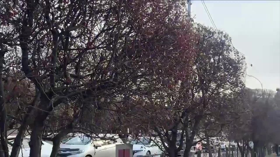 Улица Ленина в Улан-Удэ вновь засияет новогодними огнями