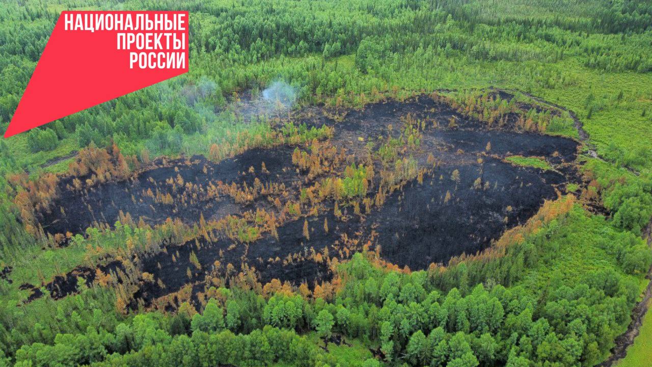 Для лесников Бурятии закупили 10 новых летающих «разведчиков»