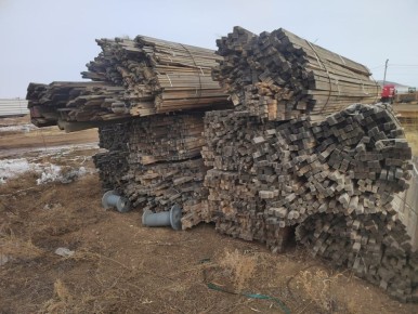 Ирина Волк: Свыше миллиарда рублей – такова стоимость леса, который контрабандой вывезли из России участники преступного сообщества