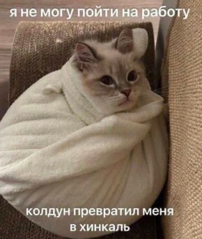  ).    , 12   :  ,   ,          