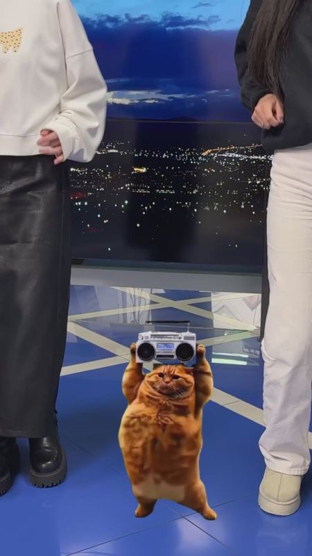 Кот танцует, мы танцуем, вся страна танцует… под MAX