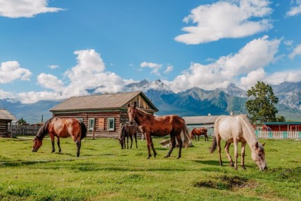 Фотографию «Утро в Тункинской долине» показали в московском метро