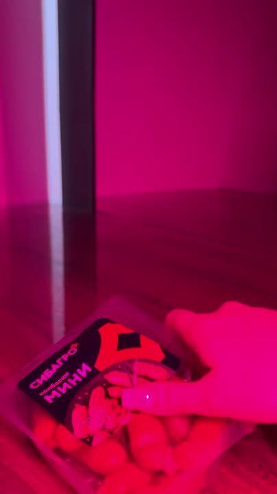 Сегодня в нашем офисе мы отмечаем «ДЕНЬ СОСИСКИ»