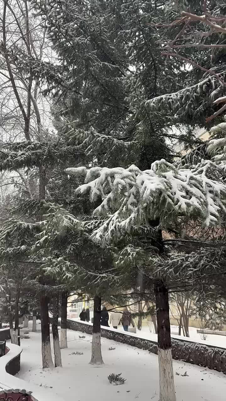 Завтра в Улан-Удэ ожидается снег