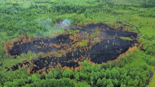 БПЛА на страже лесов Бурятии