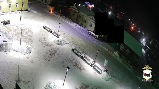 Подожгла трансформаторную подстанцию и пыталась поджечь АЗС по указке неизвестных