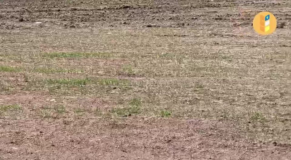 Вернуть практику полива наледью предложили в Бурятии