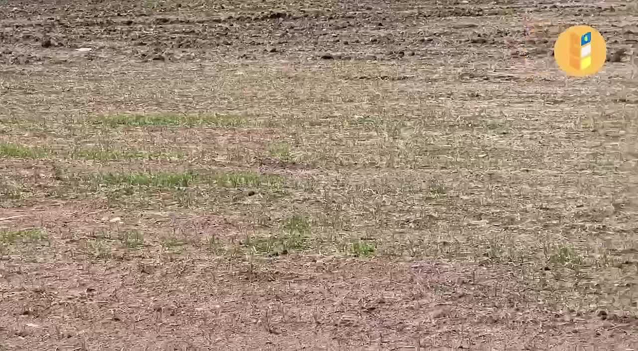 Вернуть практику полива наледью предложили в Бурятии