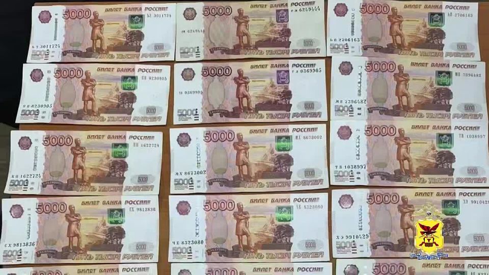 Полицейские перехватили в Москве курьера онлайн-мошенников с 700 тысячами рублей, похищенных у 84-летней пенсионерки из Читы