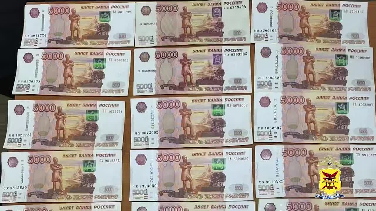 Полицейские перехватили в Москве курьера онлайн-мошенников с 700 тысячами рублей, похищенных у 84-летней пенсионерки из Читы