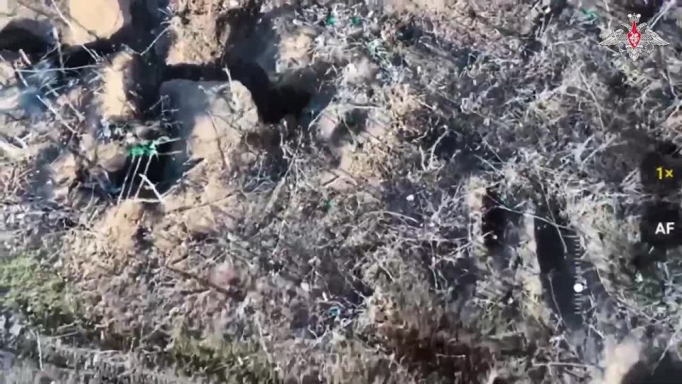 Подразделения группировки «Восток» взяли под контроль ещё один населённый пункт - село Даниловка в Днепропетровской области