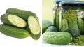 Огурцы для засолки: проверенные сорта для идеальной консервации