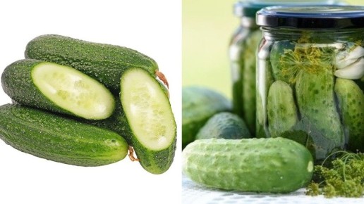 Огурцы для засолки: проверенные сорта для идеальной консервации