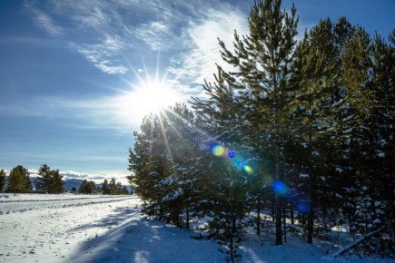 Бурятия превратилась в зимнюю сказку после обильного снегопада