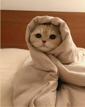 Воскресное сонное. Сегодня в Бурятии метели и до -31 По республике: переменная облачность, ночью местами небольшой снег, по Прибайкалью и северу местами умеренные снегопады, днем преимущественно без осадков