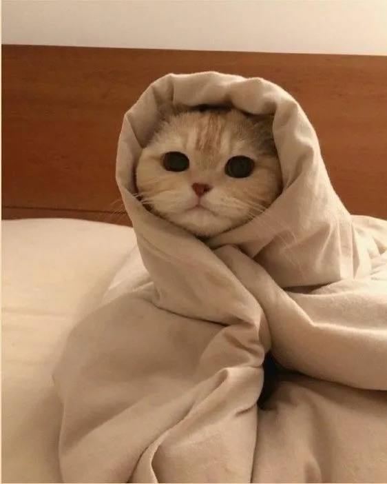 Воскресное сонное. Сегодня в Бурятии метели и до -31 По республике: переменная облачность, ночью местами небольшой снег, по Прибайкалью и северу местами умеренные снегопады, днем преимущественно без осадков