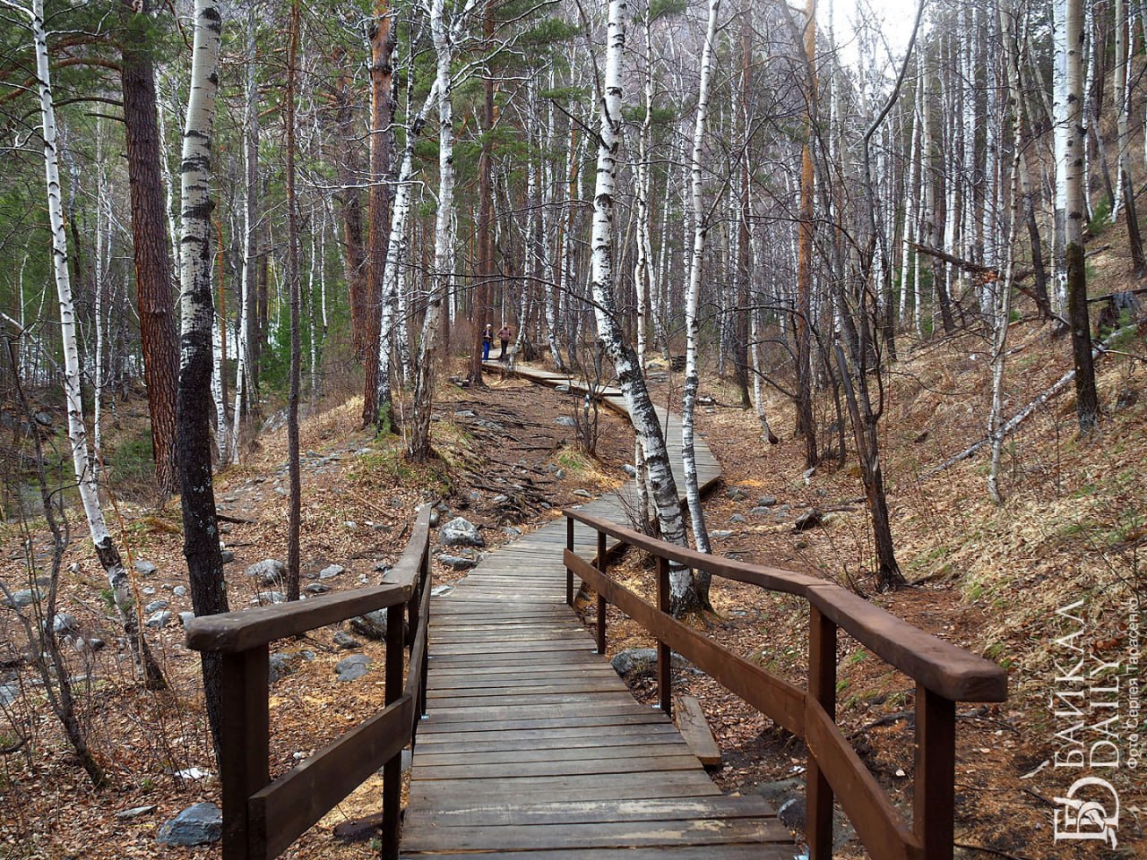 В Бурятии туристам повысили стоимость посещения нацпарка «Тункинский»