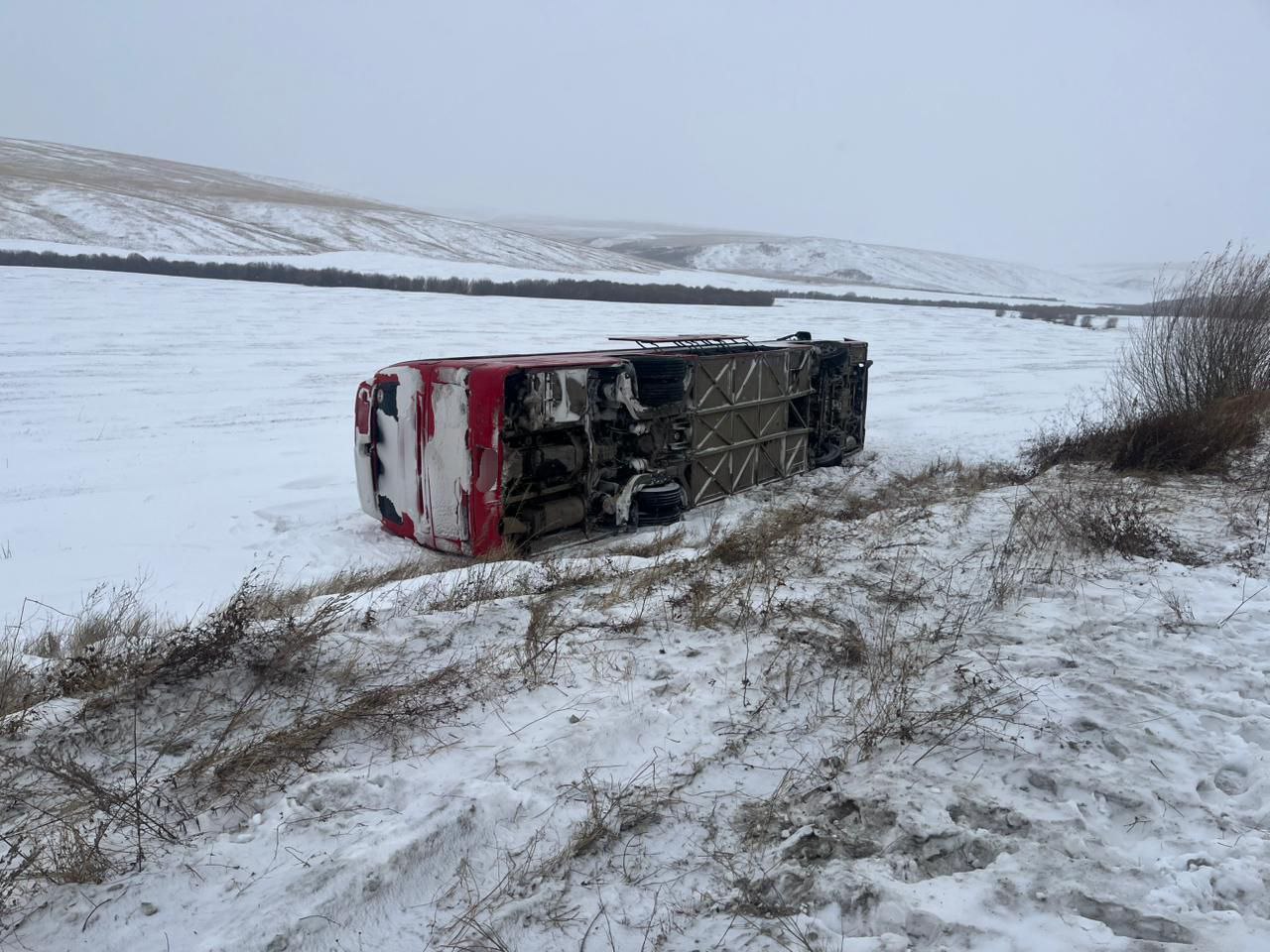Вахтовый автобус врезался в корову и опрокинулся