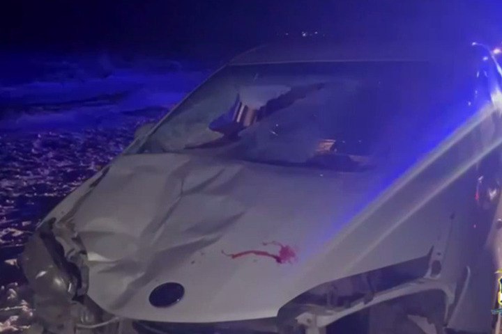 В Бурятии иномарка насмерть сбила пешехода в темное время суток