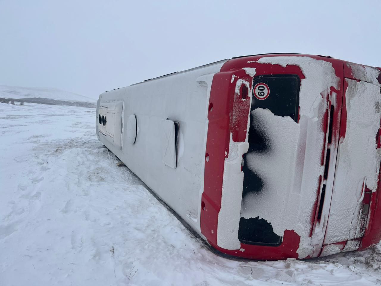 Вахтовый автобус врезался в корову и опрокинулся Вахтовый автобус врезался в корову и опрокинулся