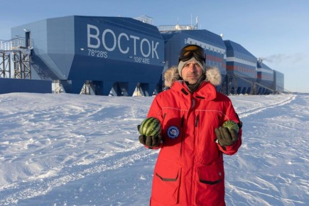 Российские полярники вырастили в Антарктиде арбузы