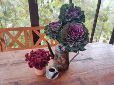 Огородники против цветочников: Почему цветы должны быть не только для еды?