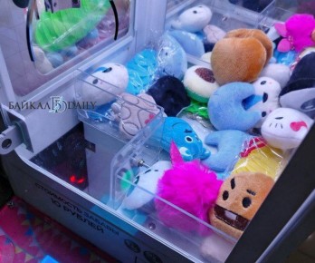 Кража дня. Пьяный улан-удэнец украл 30 мягких игрушек, но все их растерял