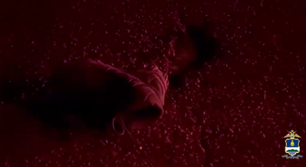 Пешеход погиб в Иволгинском районе Бурятии Пешеход погиб в Иволгинском районе Бурятии