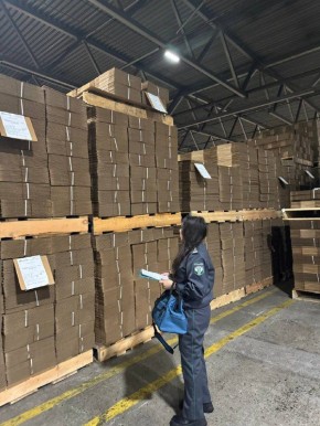 В Монголию из Бурятии отправлено около 3 млн гофрированных картонных коробок