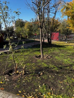 В Улан-Удэ облагородили часть исторической улицы Фрунзе