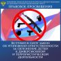 ПРАВОВОЕ ПРОСВЕЩЕНИЕ. С 17 ноября 2025 года вступил в силу закон об уголовной ответственности вплоть до пожизненного лишения свободы за склонение детей к диверсионной и террористической деятельности Федеральным законом от...