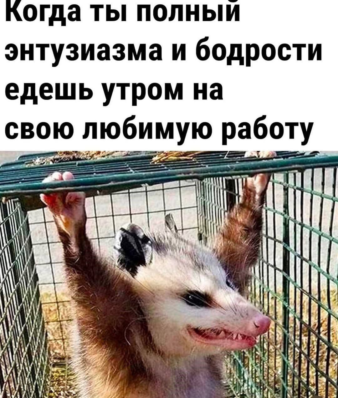 Доброе утро). 19 ноября по республике: переменная облачность, местами небольшой снег, по Прибайкалью и местами по северным районам снегопады