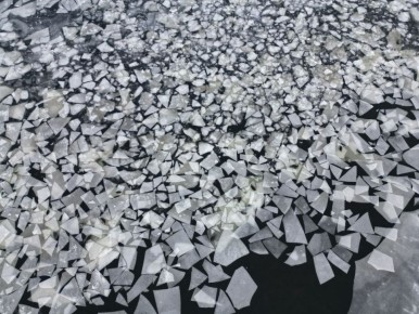 Найди нерпочку на льду!. Утреннюю зарядку для глаз подготовили в «Заповедном Подлеморье»