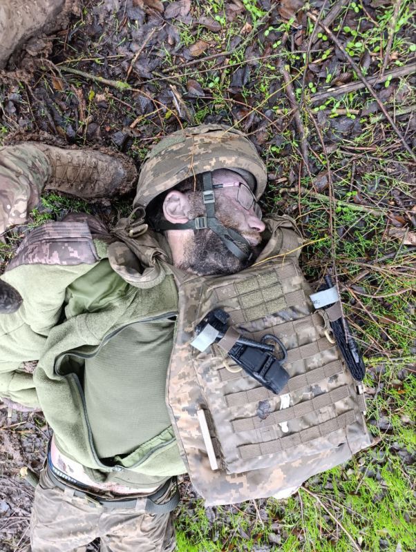  :   ,   &quot; &quot;  - 