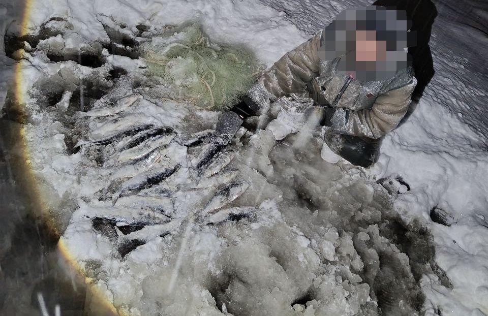 В Бурятии поймали очередных браконьеров, незаконно ловивших омуль