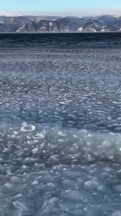 ˸   . @tuktukolkhon38