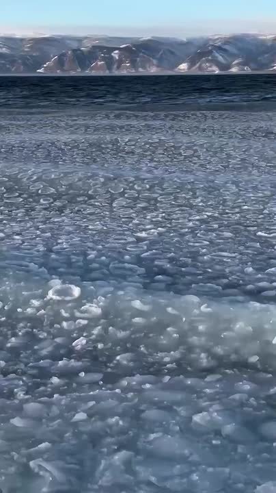 Лёд встаёт на Байкале. @tuktukolkhon38