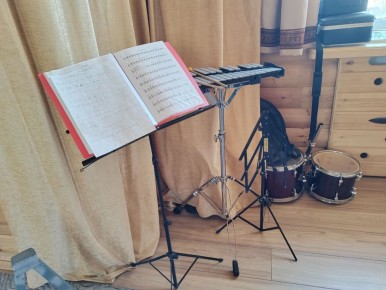 Впервые в России разработали ГОСТ для ударных музыкальных инструментов