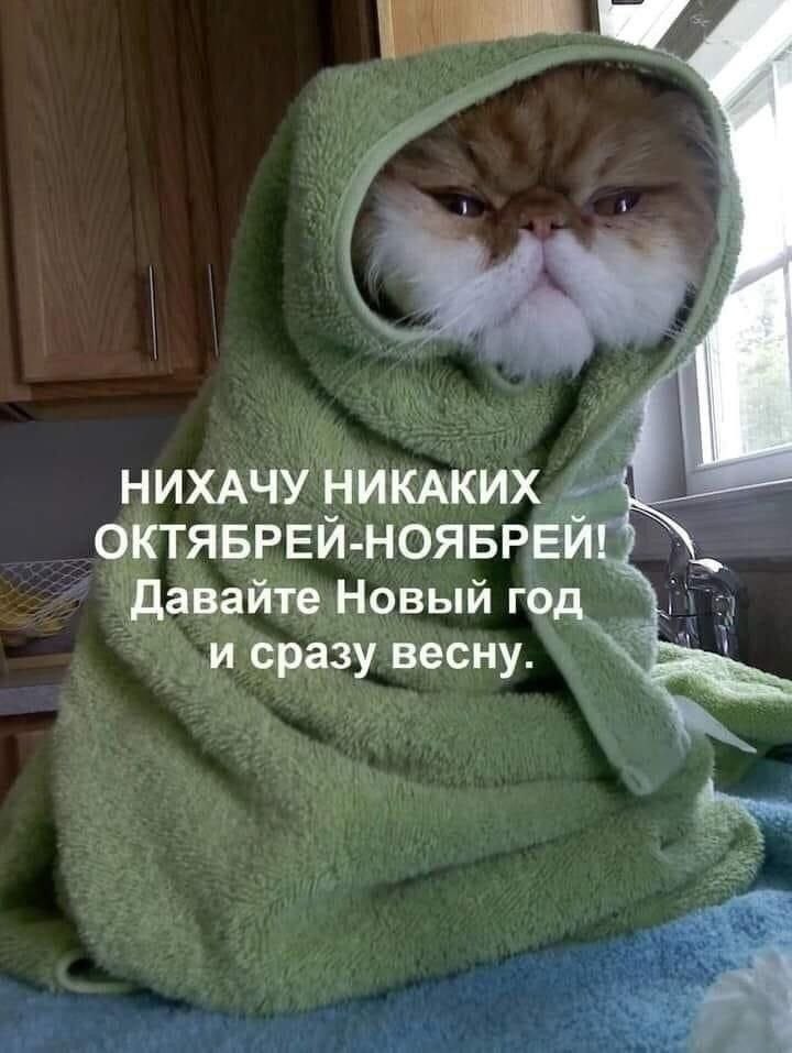 Доброе субботнее утро. По данным Бурятского гидрометцентра, 22 ноября по республике переменная облачность, днём небольшой, местами умеренный снег, мокрый снег