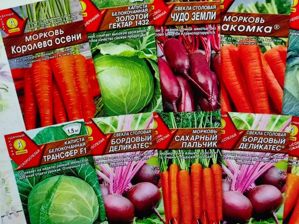 Как выбрать идеальные семена для вашего огорода: сорт или гибрид?