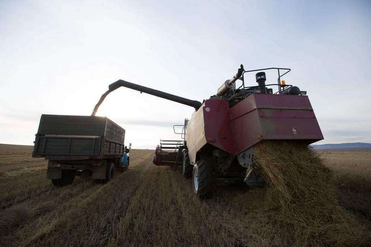 Минкультуры Бурятии поручено спродюсировать спектакль о сельском хозяйстве