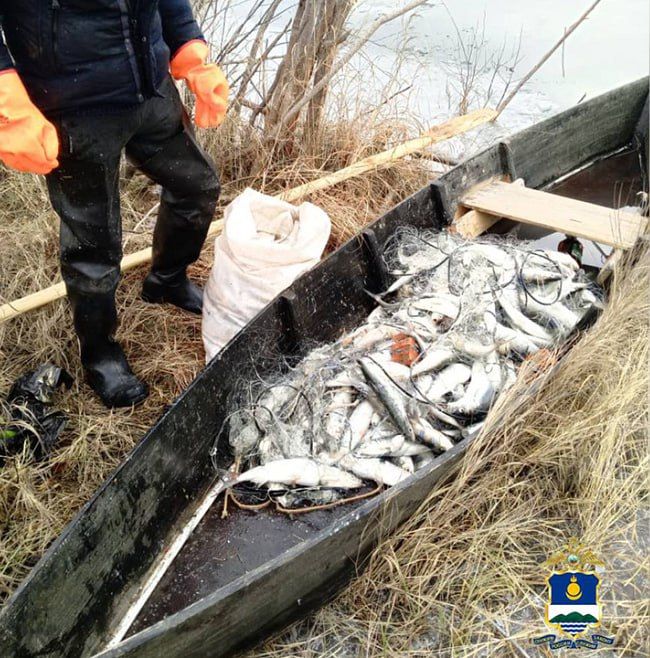 Участковые уполномоченные полиции Бурятии уличили браконьера в вылове омуля почти на 1,7 млн рублей