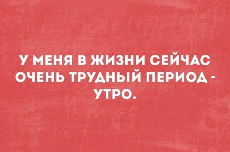 Доброе утро). 24 ноября по республике: переменная облачность, ночью местами слабый снег, днём по северному Прибайкалью небольшой снег