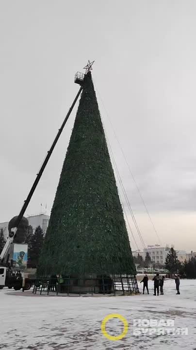 Не потянешь за верёвку, не установишь елку