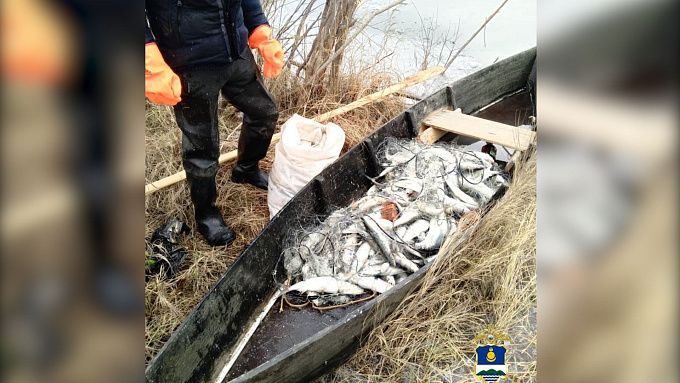 Браконьер наловил омуля почти на 1,7 млн рублей в Бурятии