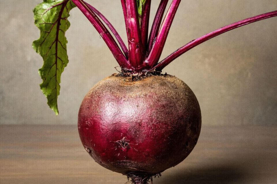 Роспотребнадзор Бурятии рассказал о пользе и ограничениях в употреблении свеклы